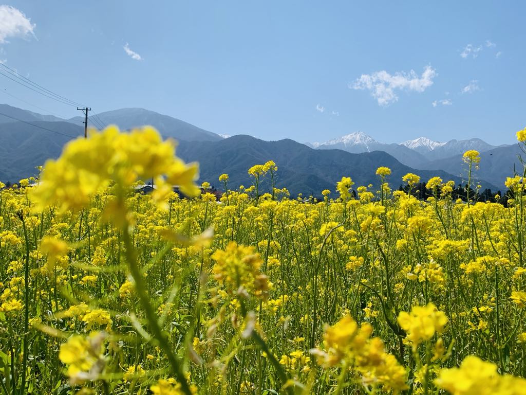 【大竹杏佳さんインタビュー】