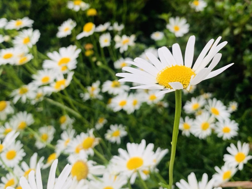 【大竹杏佳さんインタビュー】