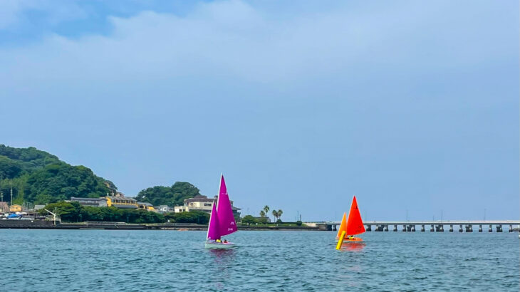 【R. Iさんインタビュー】“学び続ける力”が導いた中小企業診断士ストレート合格―成長の旅路―